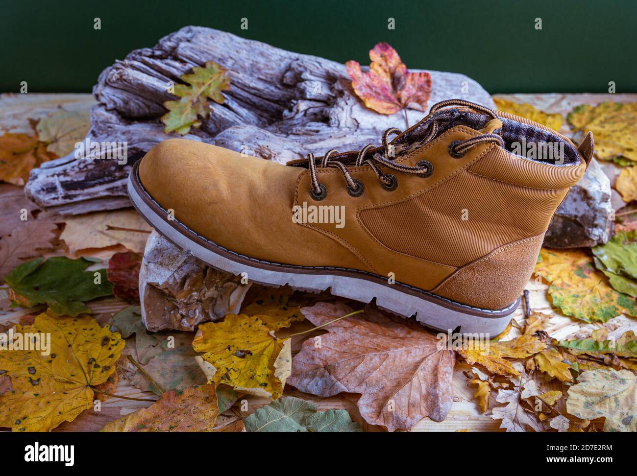 Chaussure feuillu 2025