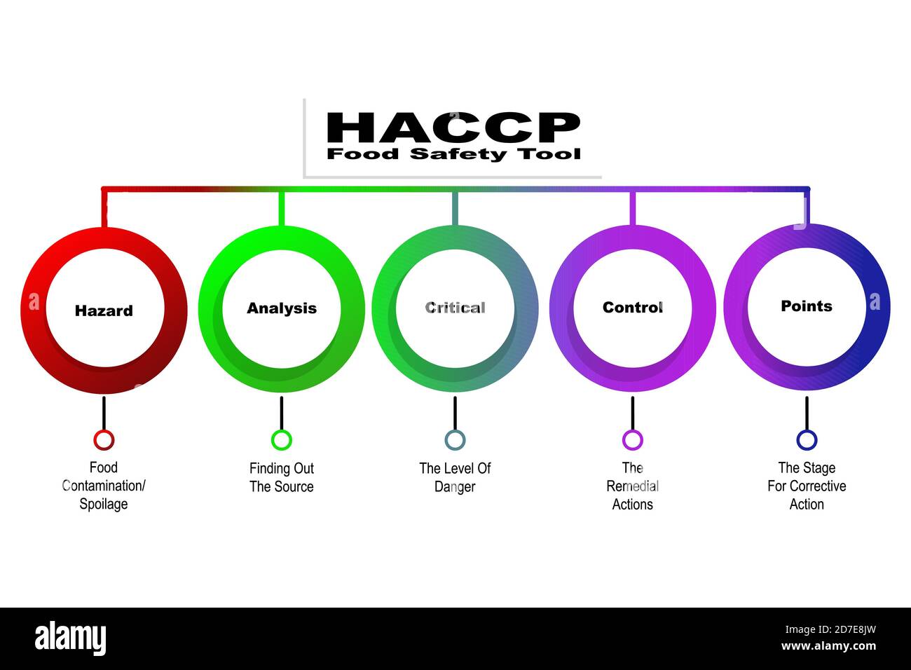 Diagramme de HACCP - outil de sécurité alimentaire avec mots clés. SPE 10 Illustration de Vecteur