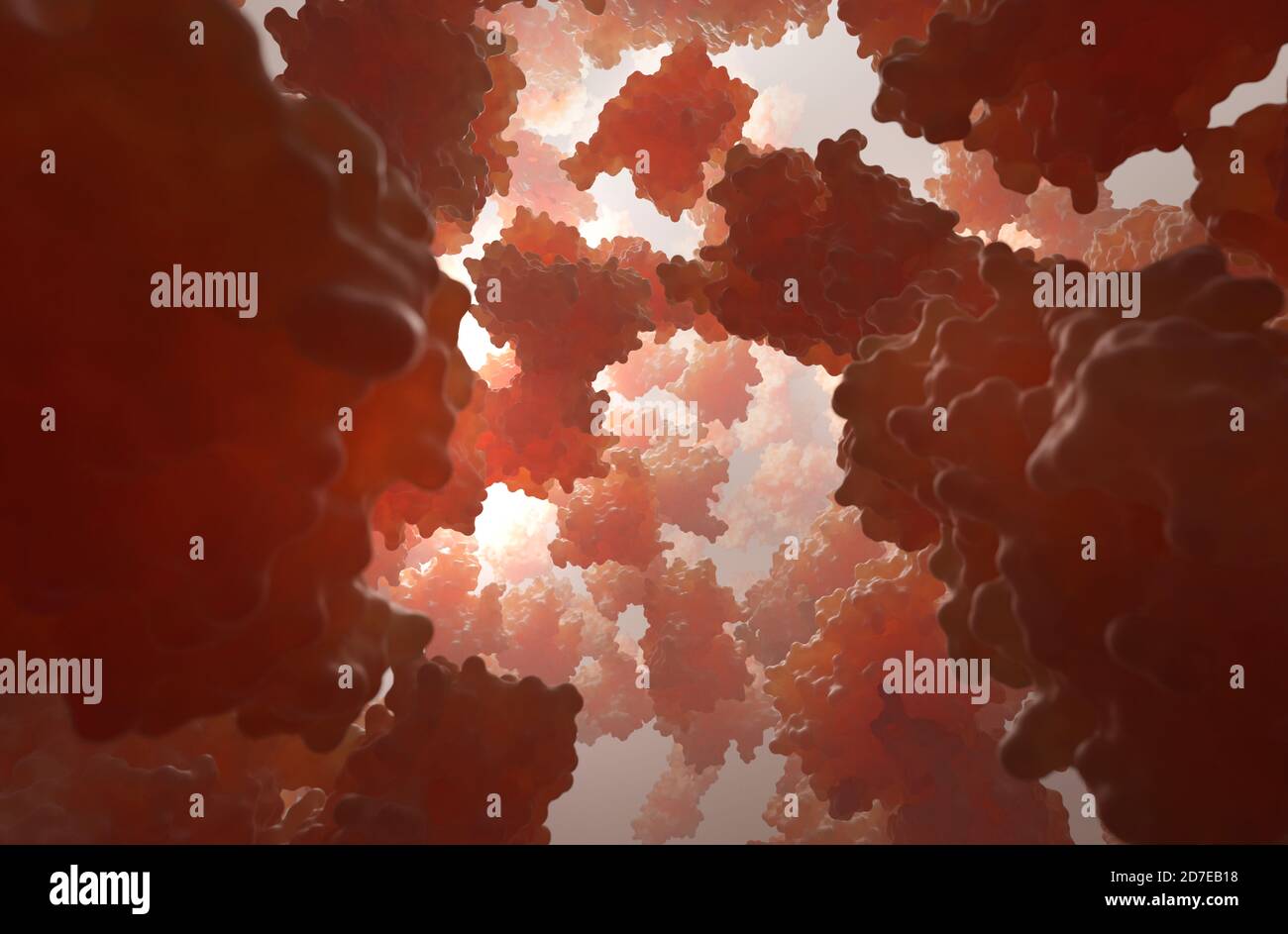 L'hémoglobine est la métalloprotéine de transport de l'oxygène contenant du fer dans les globules rouges. Il transporte l'oxygène des poumons vers le reste du corps. Banque D'Images