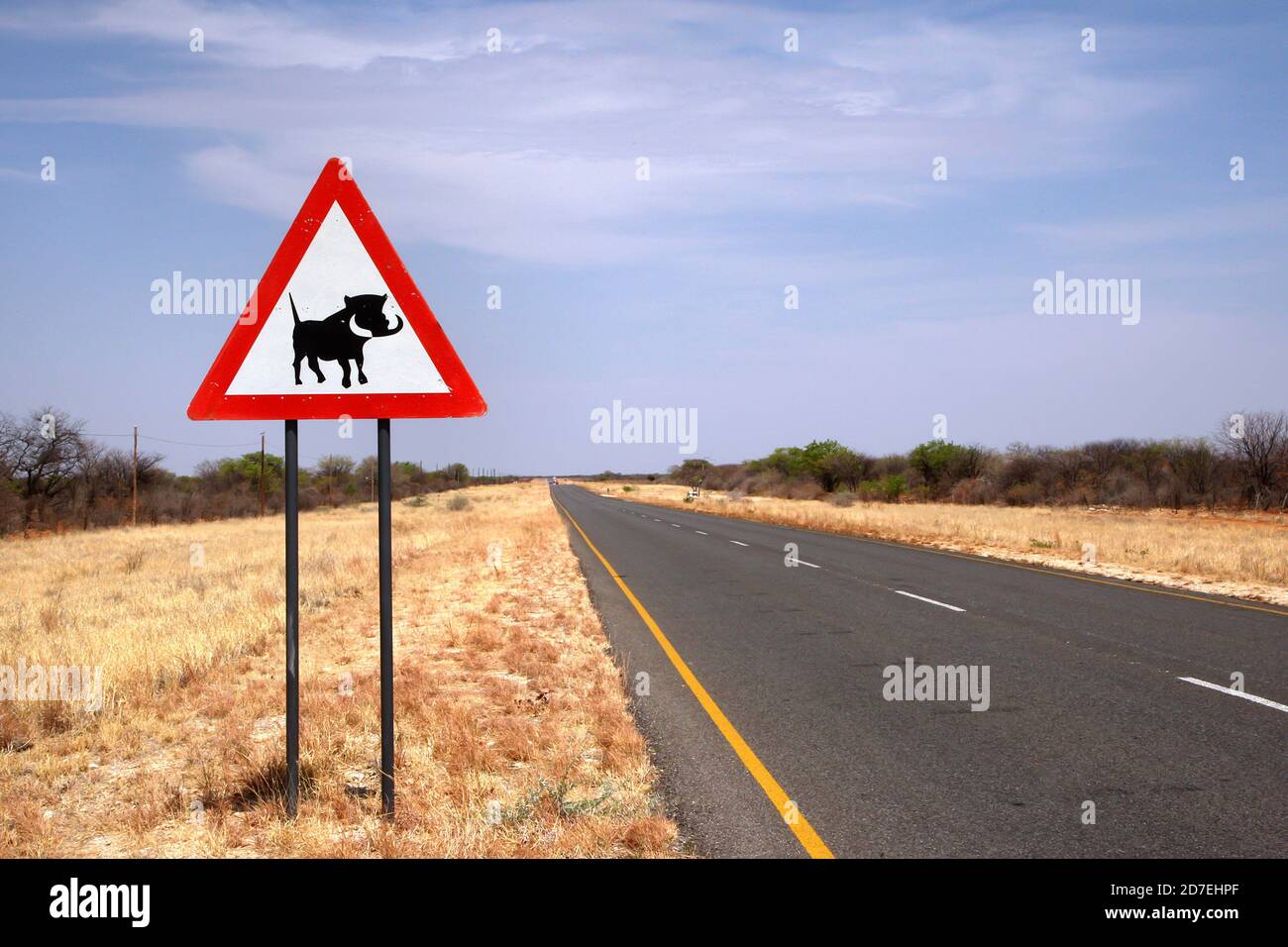 Panneau de passage à Warthog sur la route namibienne Banque D'Images