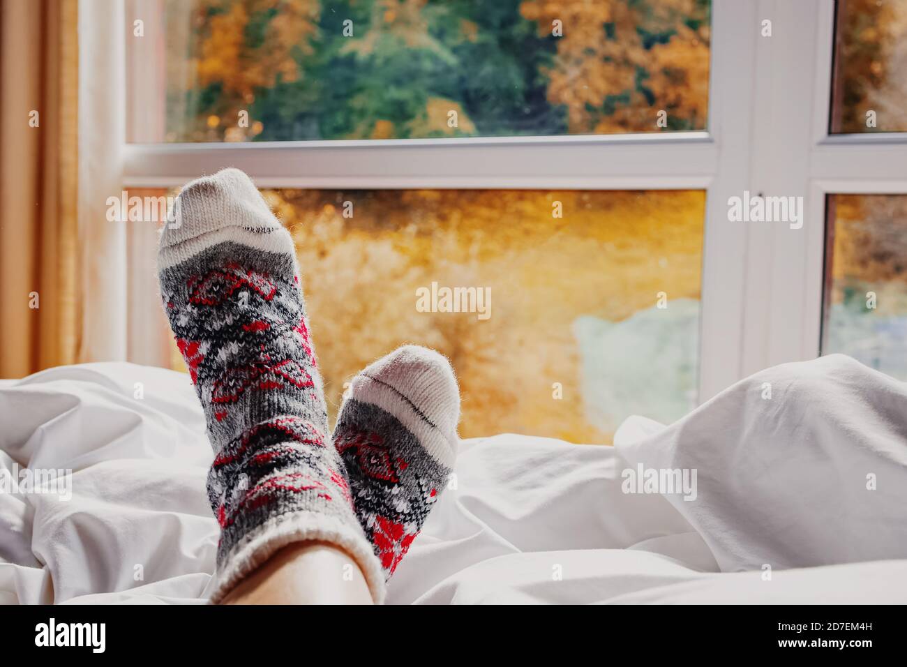 Femme jambes en chaussettes chaudes sur le lit blanc près de la fenêtre avec arbres d'automne jaunes Banque D'Images
