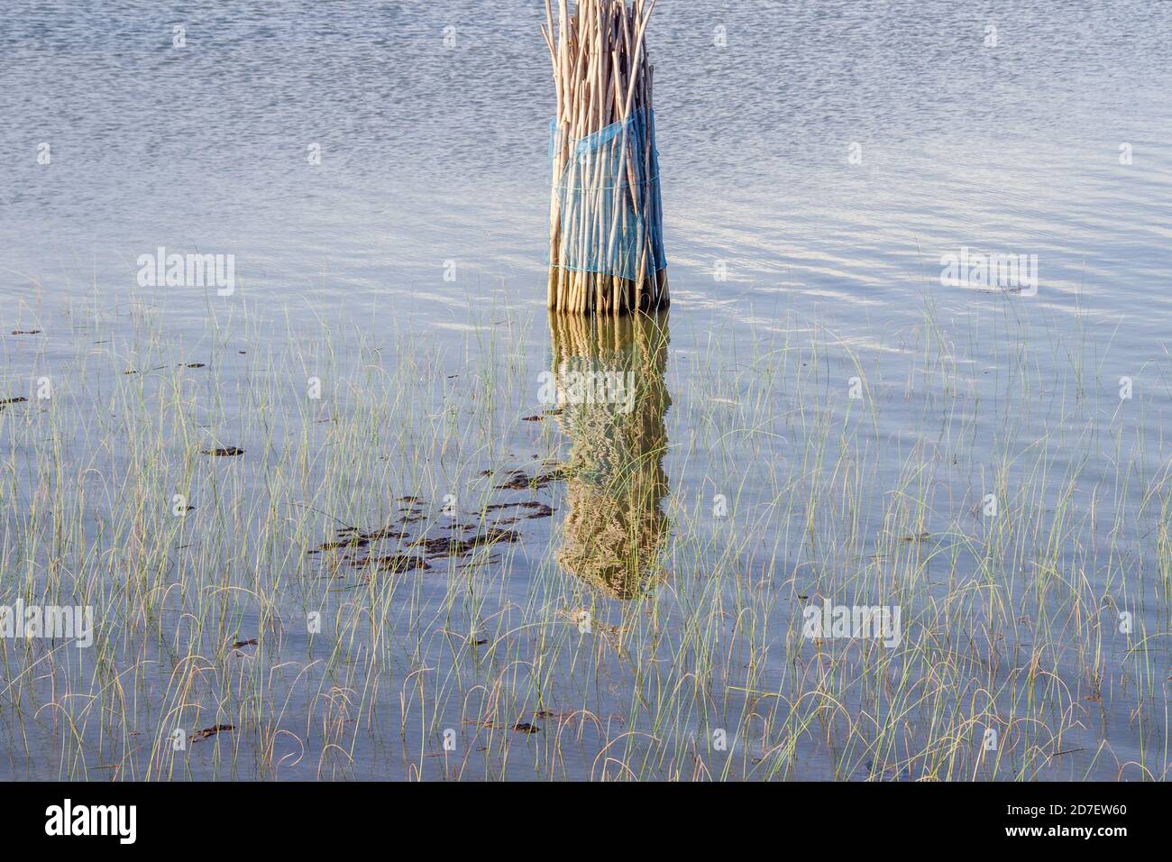 ensemble de bâtons de pêche et de photographies abstraites de réflexion Banque D'Images