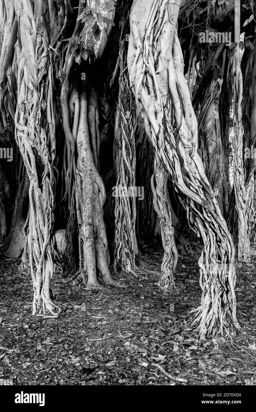 Scènes de voyage abstraites Banque D'Images