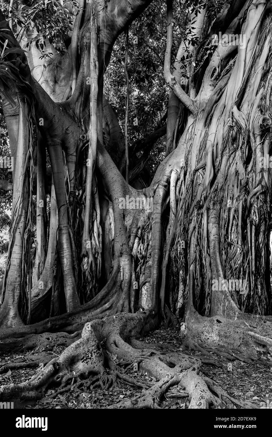 Scènes de voyage abstraites Banque D'Images