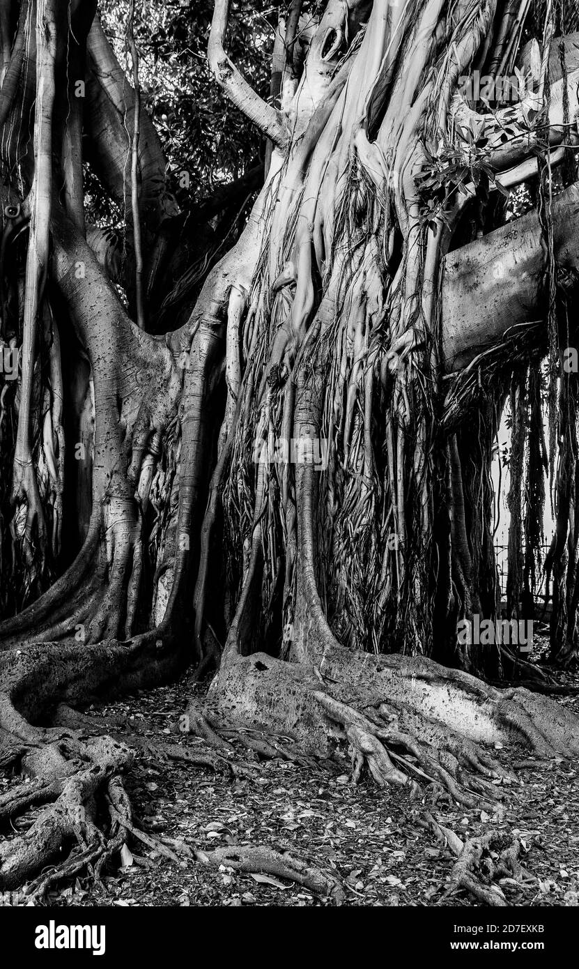 Scènes de voyage abstraites Banque D'Images