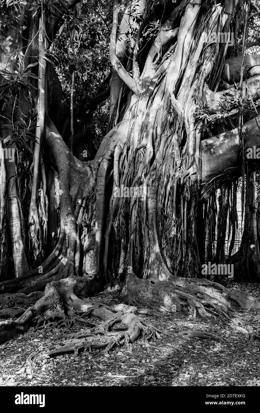 Scènes de voyage abstraites Banque D'Images