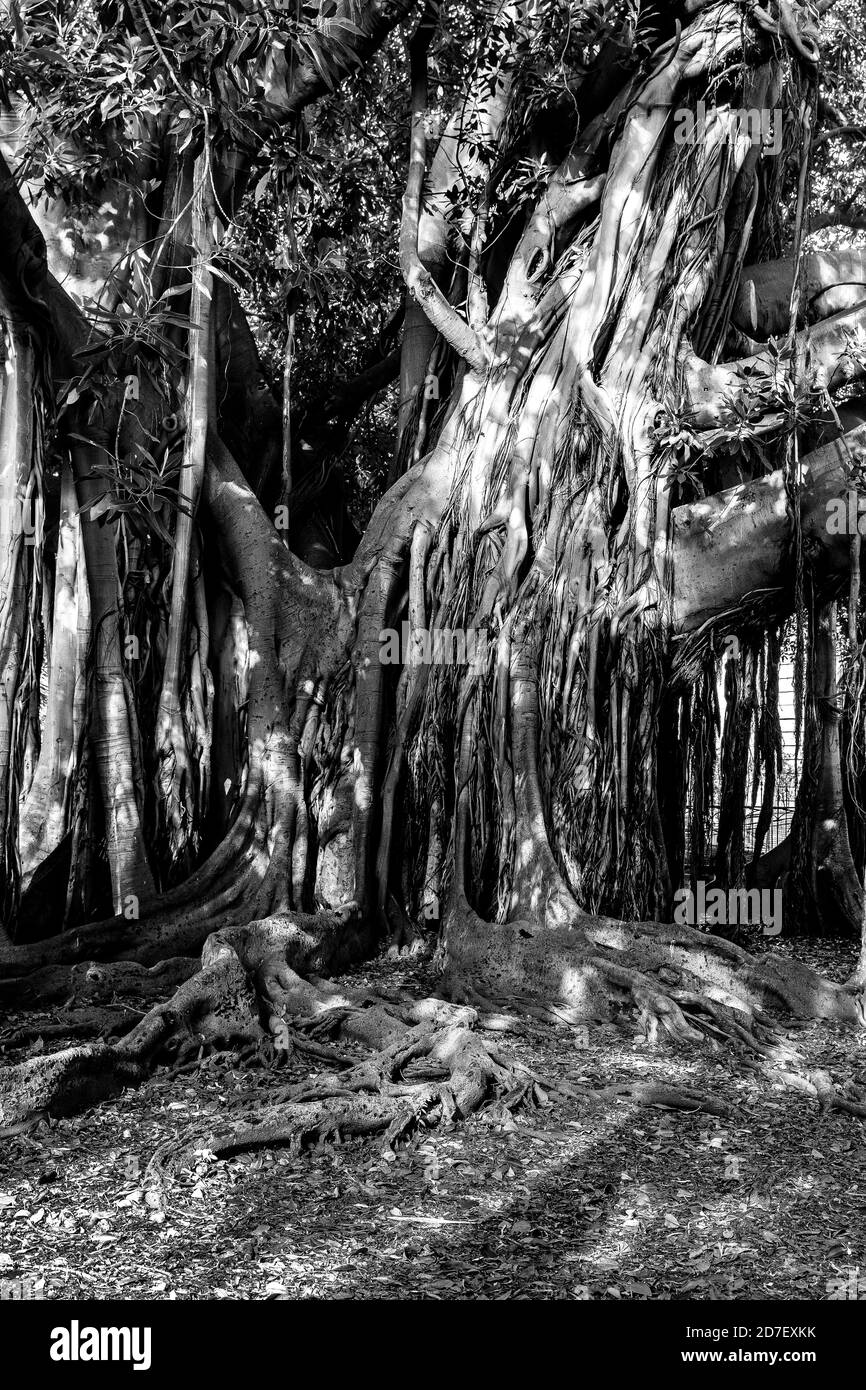 Scènes de voyage abstraites Banque D'Images