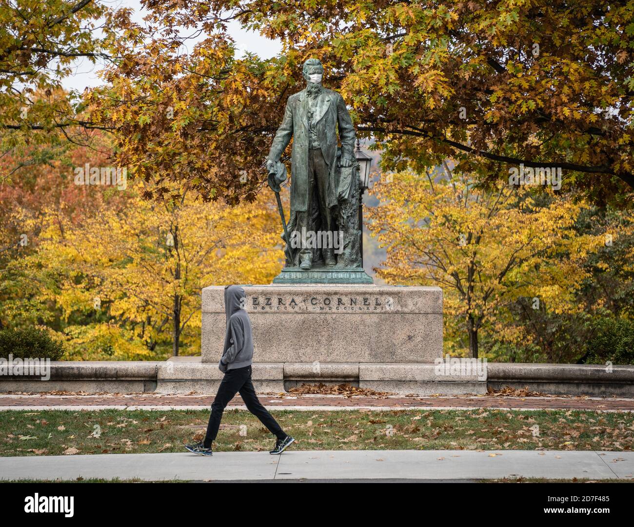 Étudiant, une personne, Cornell, Cornell University, collège, université, pandémie, marche, automne, semestre d'automne, couleur, école, Ivy-League, virtuel, l Banque D'Images