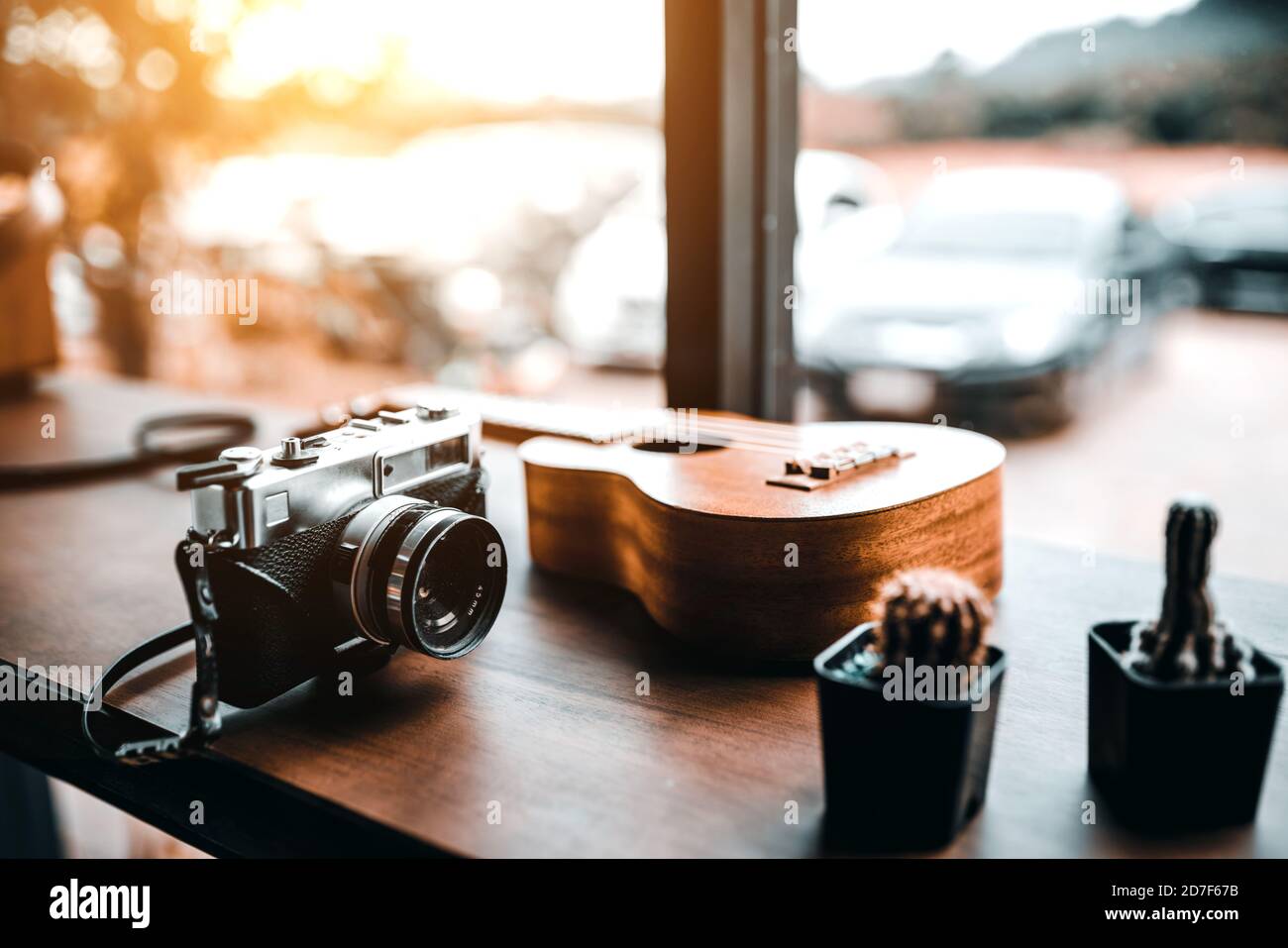 Caméra de cinéma vintage, ukulele, et cactus, intérieur de café Banque D'Images