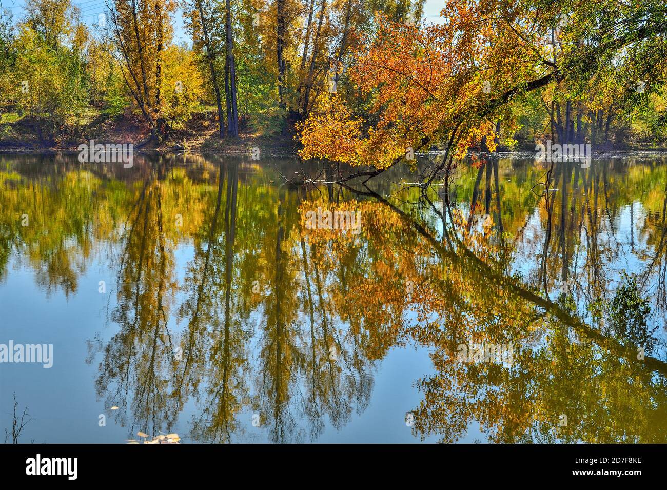 Automne feuillage doré des arbres autour du lac reflète dans l'eau bleue - automne paysage pittoresque au septembre ensoleillé chaud météo avec bleu clair sk Banque D'Images