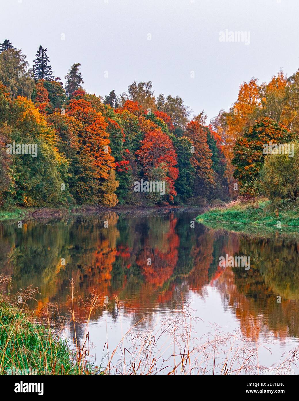 Paysage d'automne d'arbres colorés se reflète dans la surface en miroir de la rivière calme par une journée nuageux. Côte avec forêt d'orangers. Paysage d'octobre. Banque D'Images