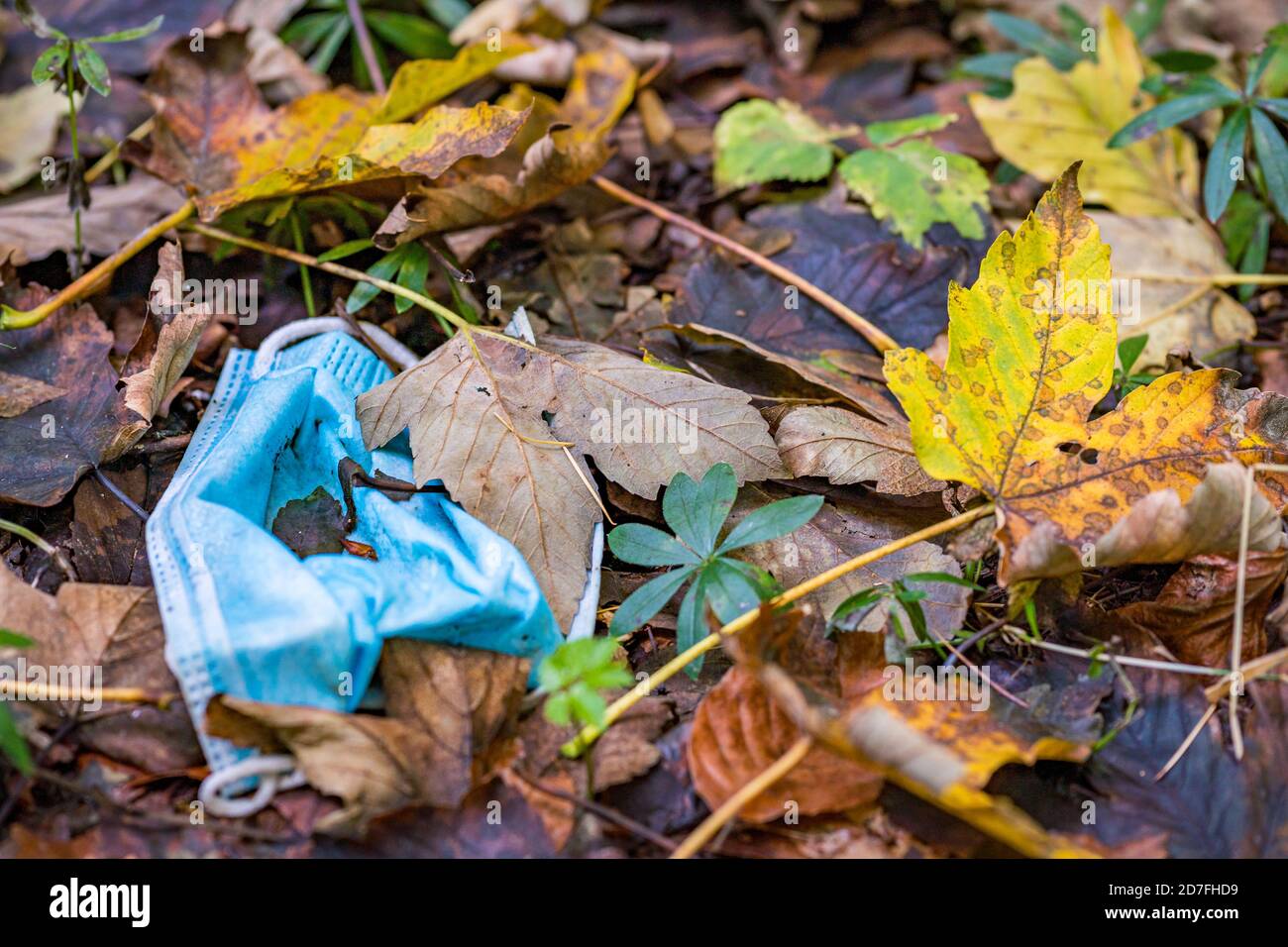 Jeté les ordures du masque Corona dans la terre en automne coloré Laisse en Allemagne le problème des ordures Banque D'Images