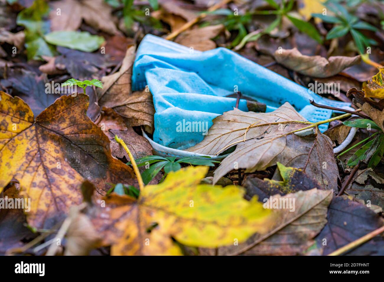 Jeté les ordures du masque Corona dans la terre en automne coloré Laisse en Allemagne le problème des ordures Banque D'Images