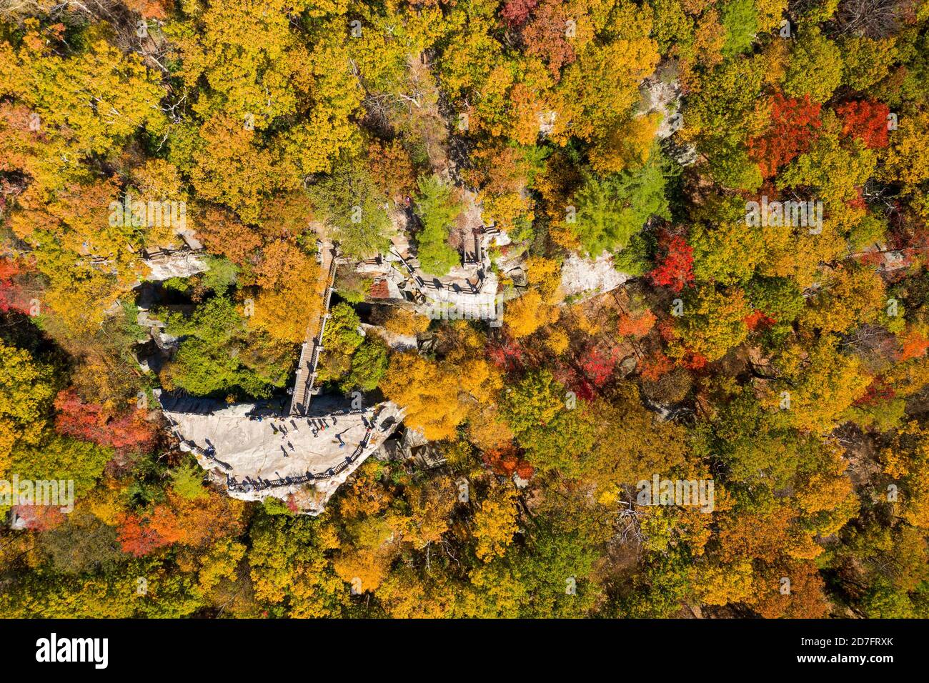 Image d'un drone aérien au-dessus du parc régional de Coopers Rock surplombant la vallée de la rivière Cheat en automne en regardant vers le lac Cheat près de Morgantown, WV Banque D'Images