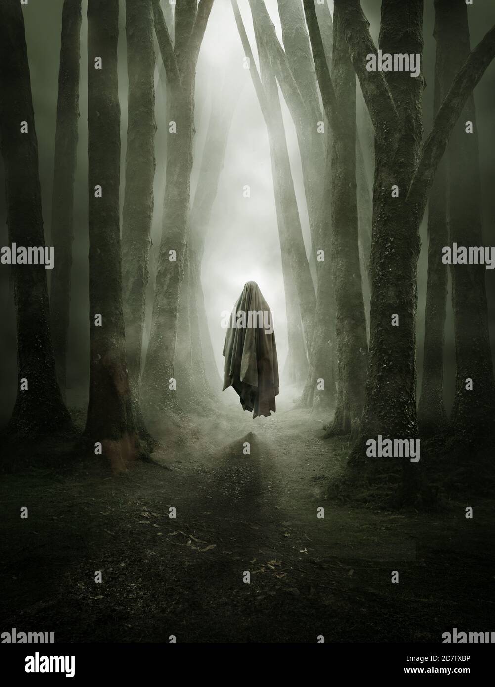 Une figure fantôme sombre se déplaçant dans une forêt brumeuse dans la soirée. Un concept effrayant. Banque D'Images