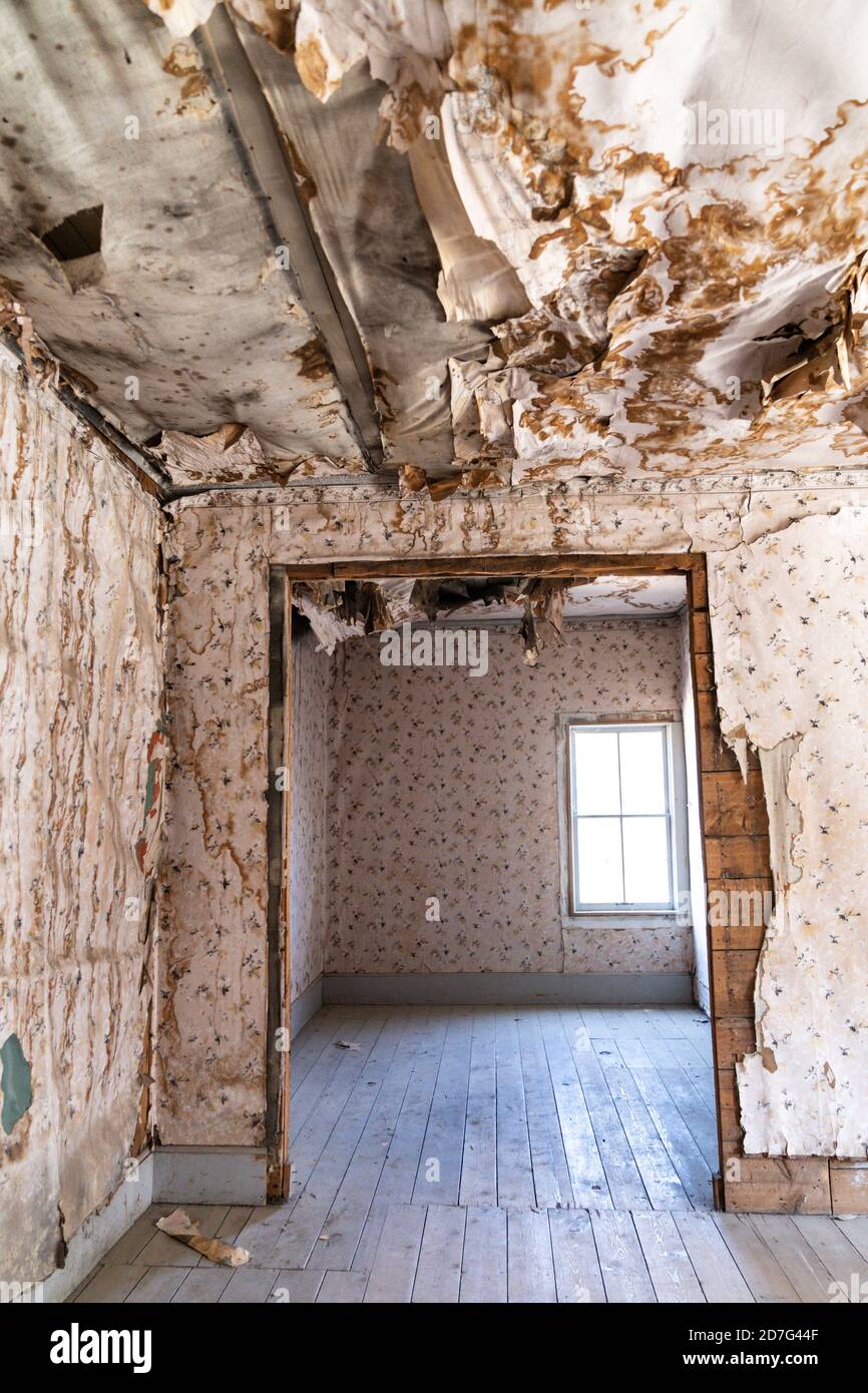 Papier peint extrêmement endommagé avec un plafond qui s'effondre,  probablement à cause des dommages causés par l'eau dans une maison  abandonnée dans la ville fantôme de Bannack au Montana Photo Stock -