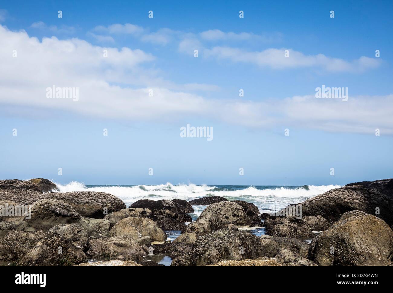 Un littoral rocheux et des vagues se déroulant à la 2ème plage, Olympic Coast National Marine Sanctuary / National Park, Washington, Etats-Unis. Banque D'Images
