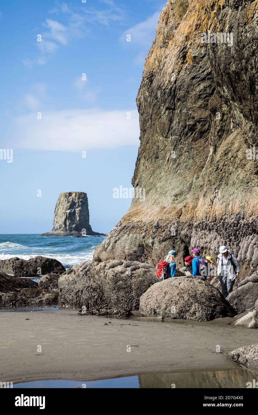 Un petit groupe d'adultes observant les bassins de marée dans et autour de la pile de la mer rochers au large de la côte à la 2ème plage, le sanctuaire marin national olympique et Banque D'Images