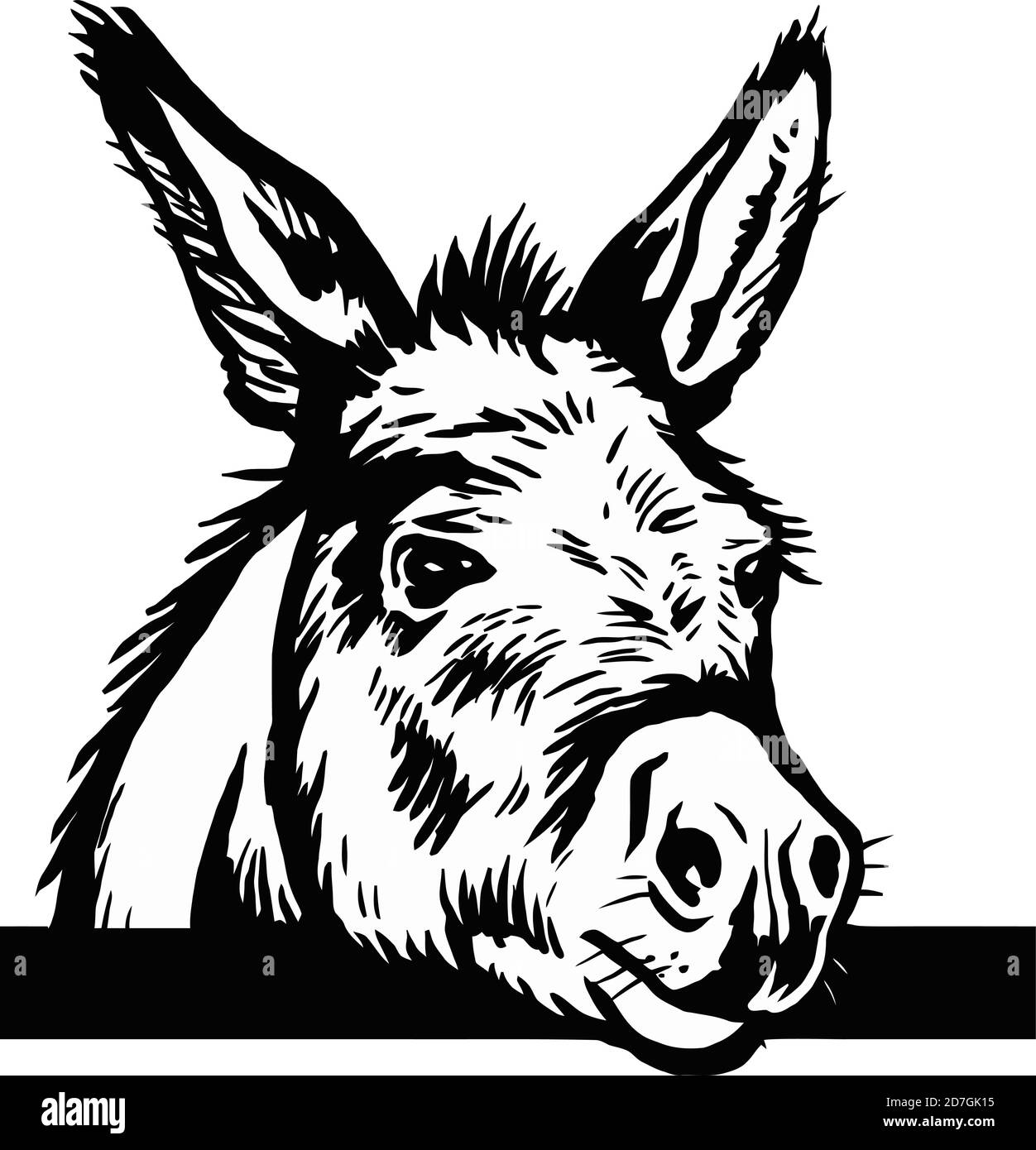 Dessin d'âne graphiques vectoriels un graphique monochrome la tête Peeking tête d'âne. Dessiné à la main dans un style graphique. Illustration de la gravure vectorielle vintage Illustration de Vecteur