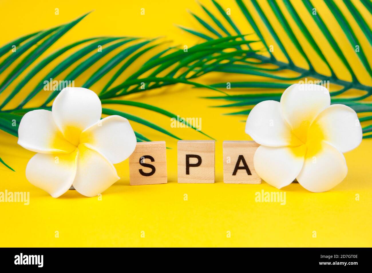 Plumeria fleurit avec des feuilles de palmier et avec le texte 'spa' sur un fond jaune. Concept de soin et de relaxation de la peau. Banque D'Images