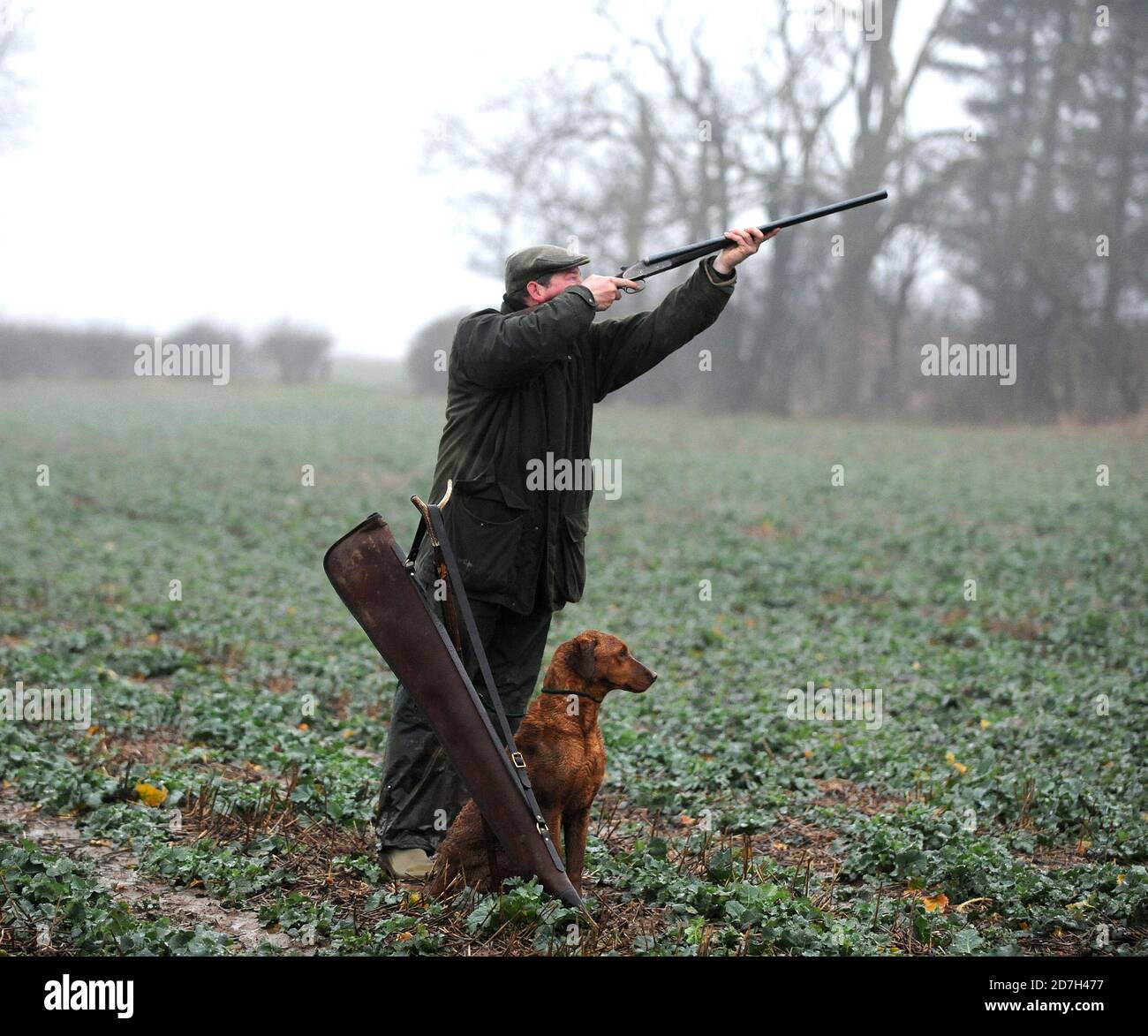 Pousse des gardiens d'Aswarby 30.01.14 Banque D'Images