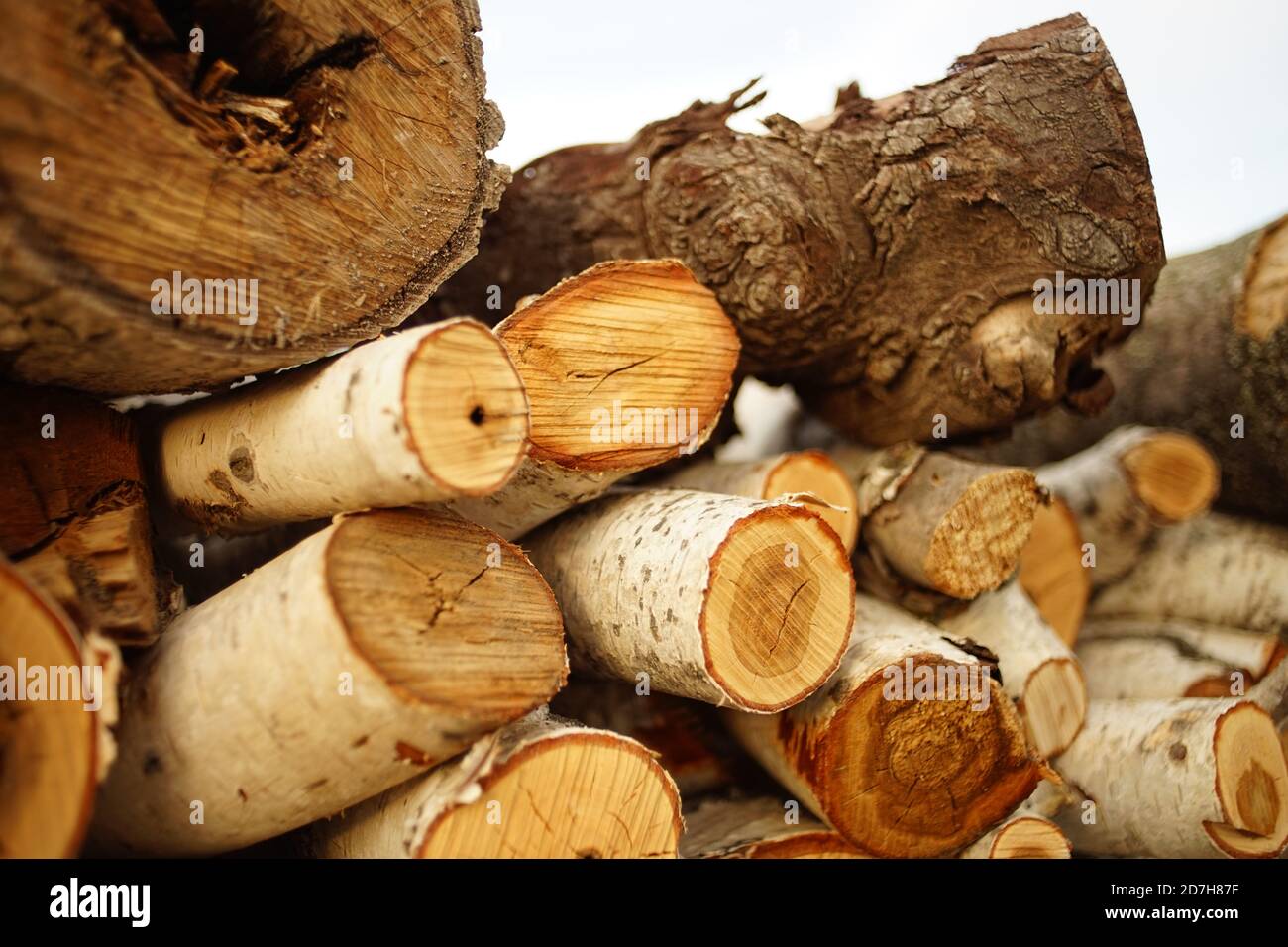 Pile de bois frais pour l'hiver Banque D'Images