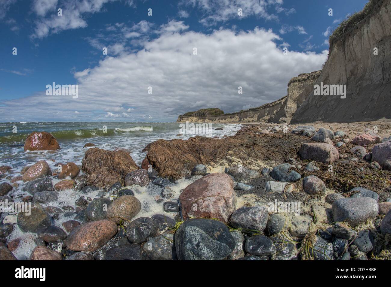 stony côte de la mer Baltique, Allemagne, Mecklembourg-Poméranie occidentale, Ruegen, NSG Nordwestufer Wittow Banque D'Images