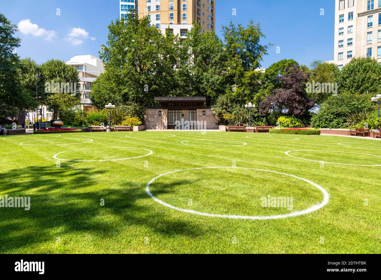 11 août 2020, Londres, Royaume-Uni - des cercles dessinés sur l'herbe à Westferry Circus, Canary Wharf pour indiquer des espaces de distanciation sociale pendant la pandémie du coronavirus Banque D'Images