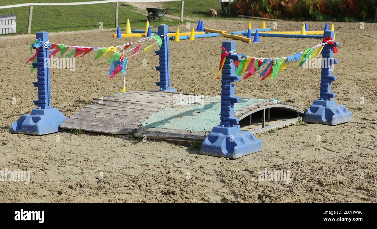 Apprenez à votre cheval à traverser un pont en toute confiance Banque D'Images