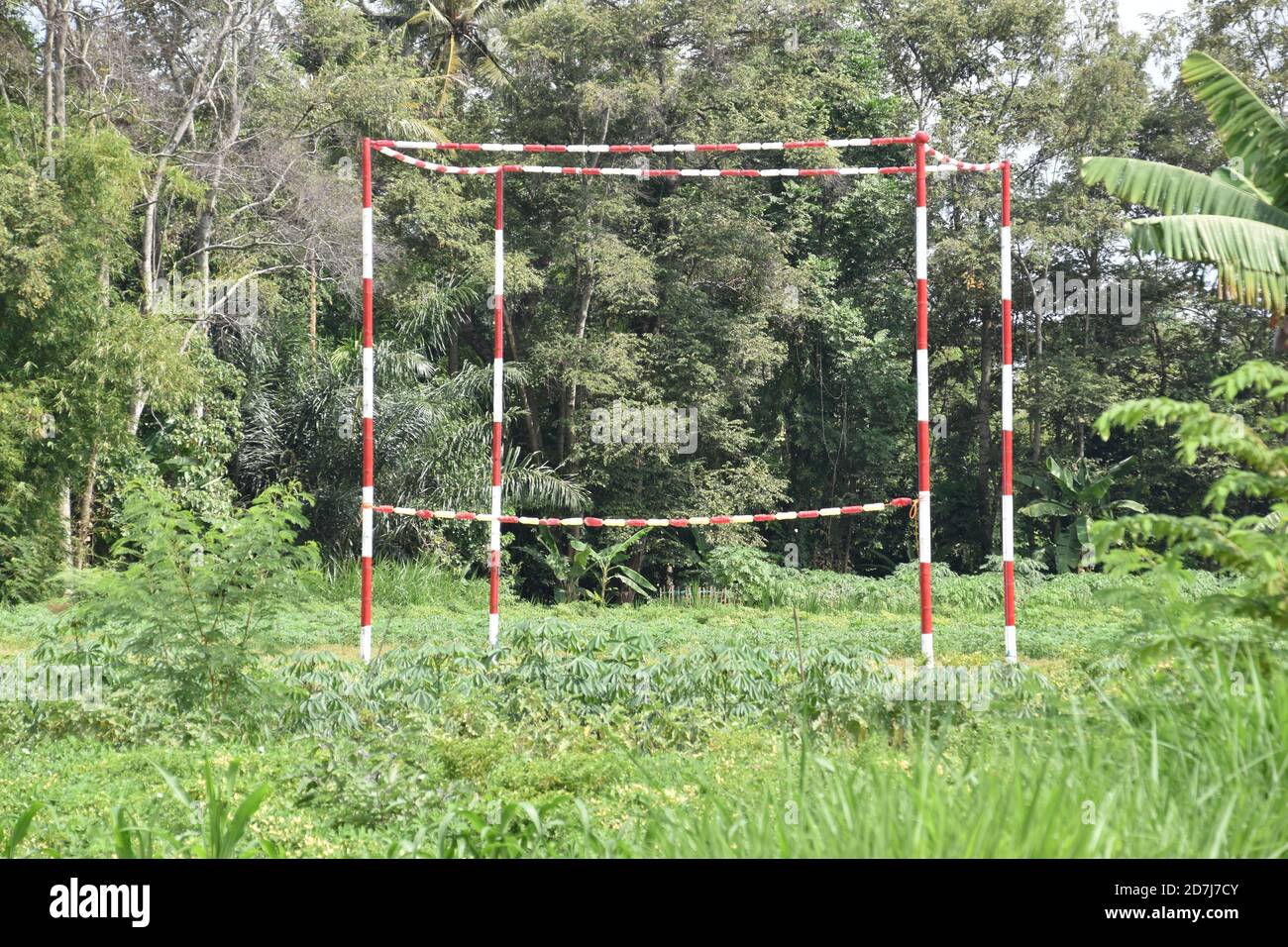 Structure de Kolongan; arène de course de pigeon au milieu d'un champ à Yogyakarta, Indonésie Banque D'Images