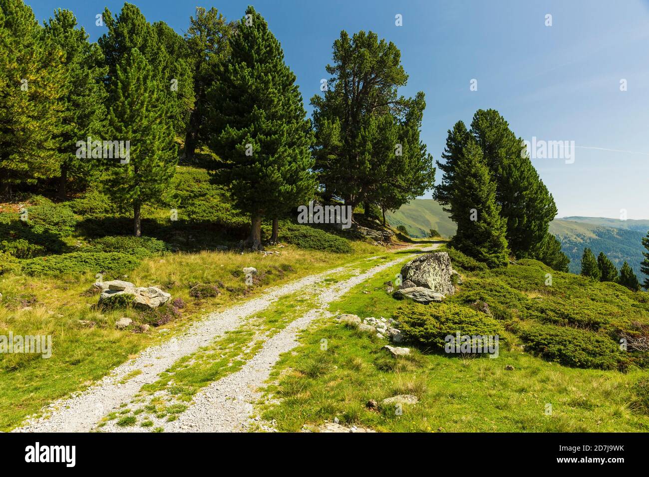Route de gravier dans les Alpes européennes pendant l'été Banque D'Images