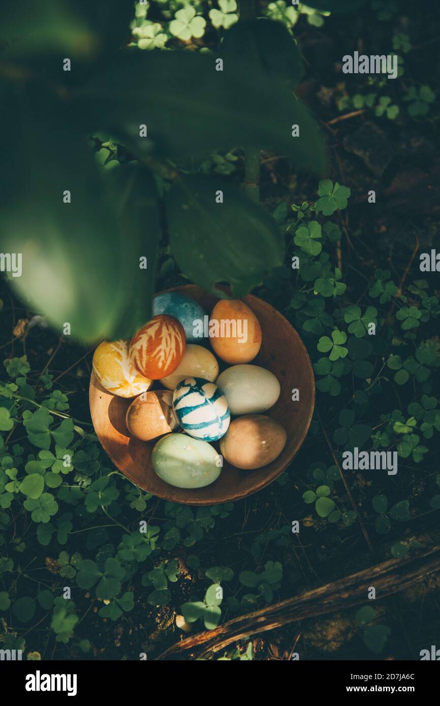Bol d'œufs de Pâques de couleur biologique à l'extérieur Banque D'Images