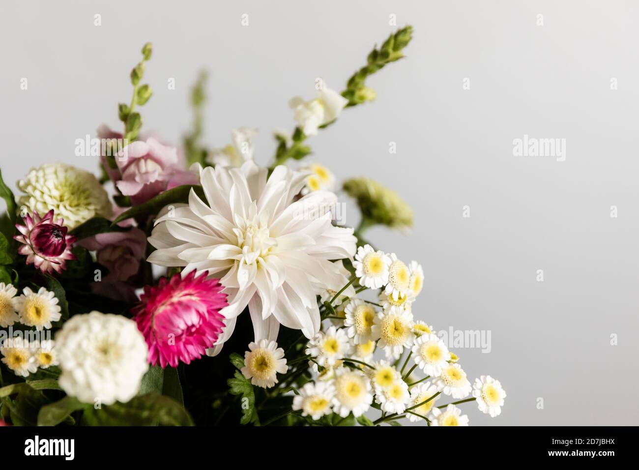 Bouquet de différentes fleurs d'été Banque D'Images