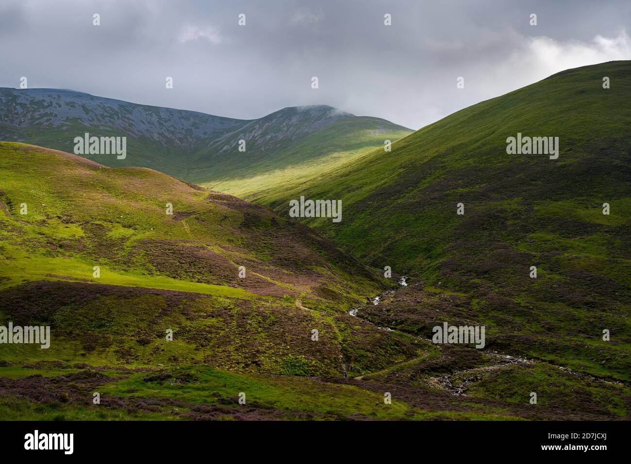 Paysage verdoyant et vallonné du parc national de Cairngorms Banque D'Images
