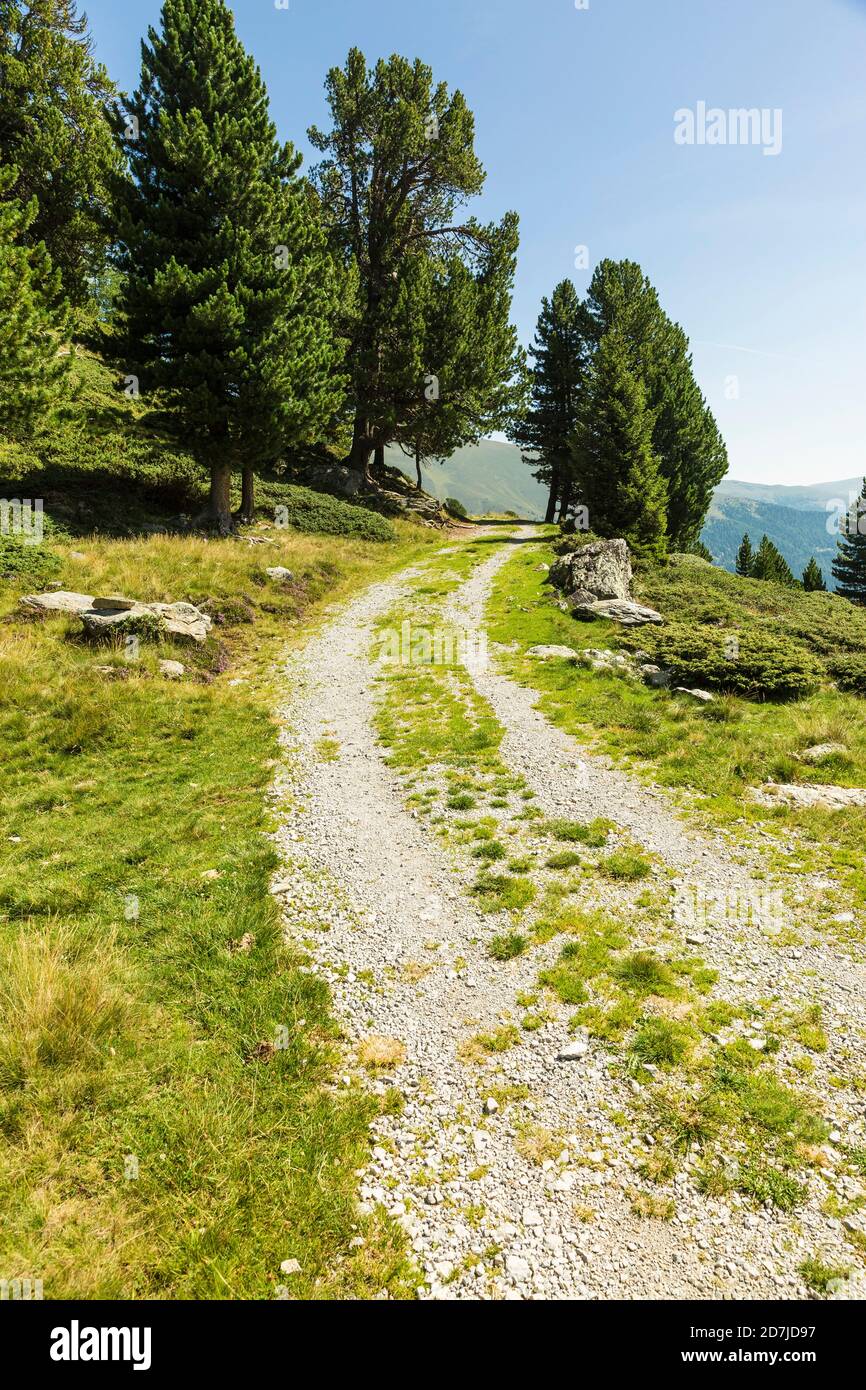 Route de gravier dans les Alpes européennes pendant l'été Banque D'Images