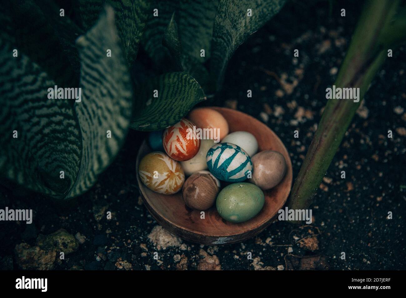 Bol d'œufs de Pâques de couleur biologique à l'extérieur Banque D'Images