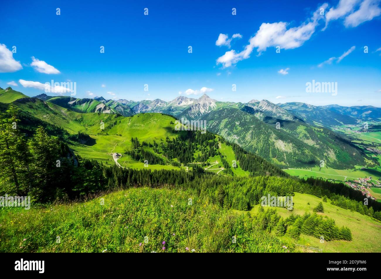 Autriche, Tyrol, paysage vert pittoresque de Tannheimer Tal en été Banque D'Images