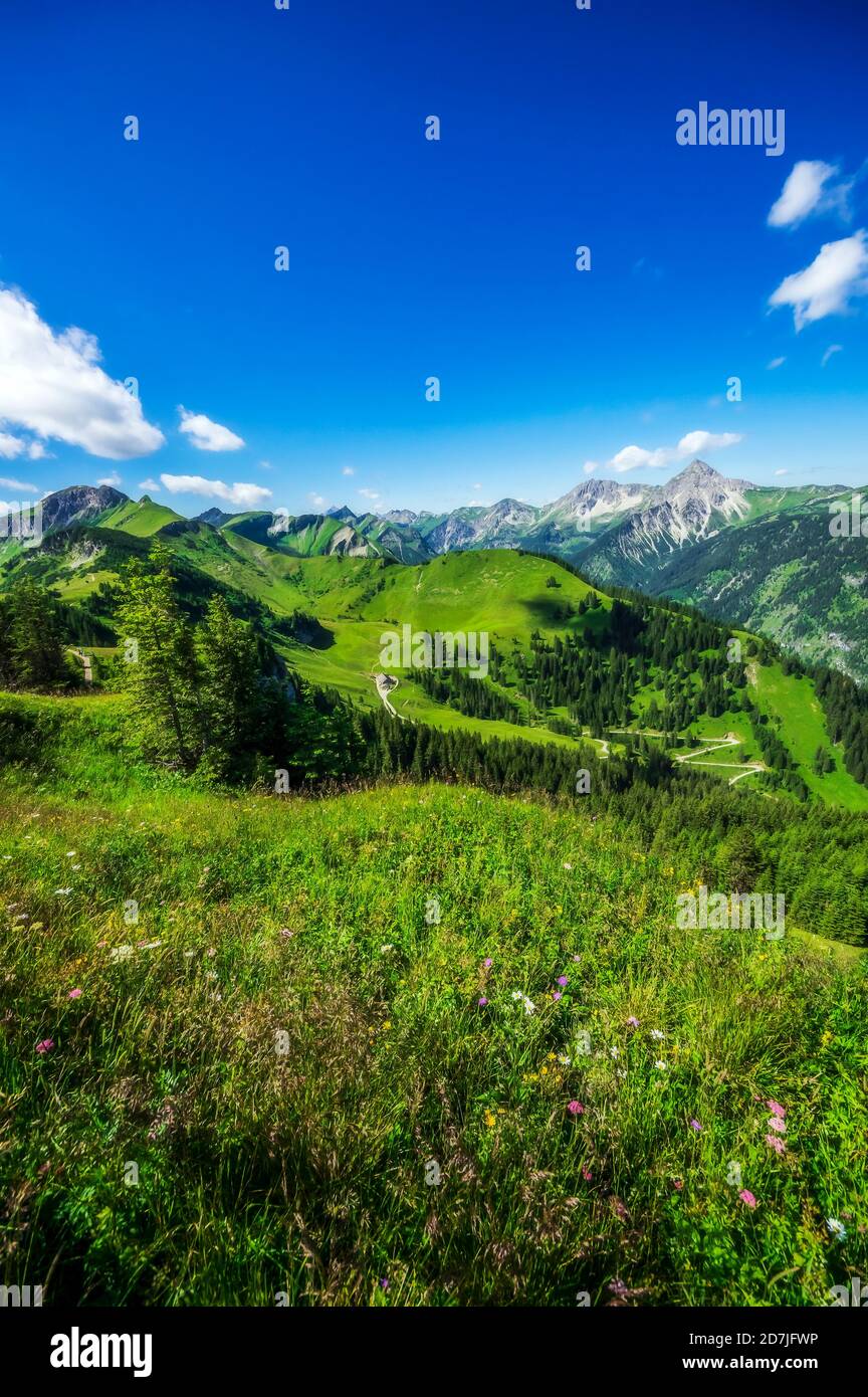 Autriche, Tyrol, paysage vert pittoresque de Tannheimer Tal en été Banque D'Images