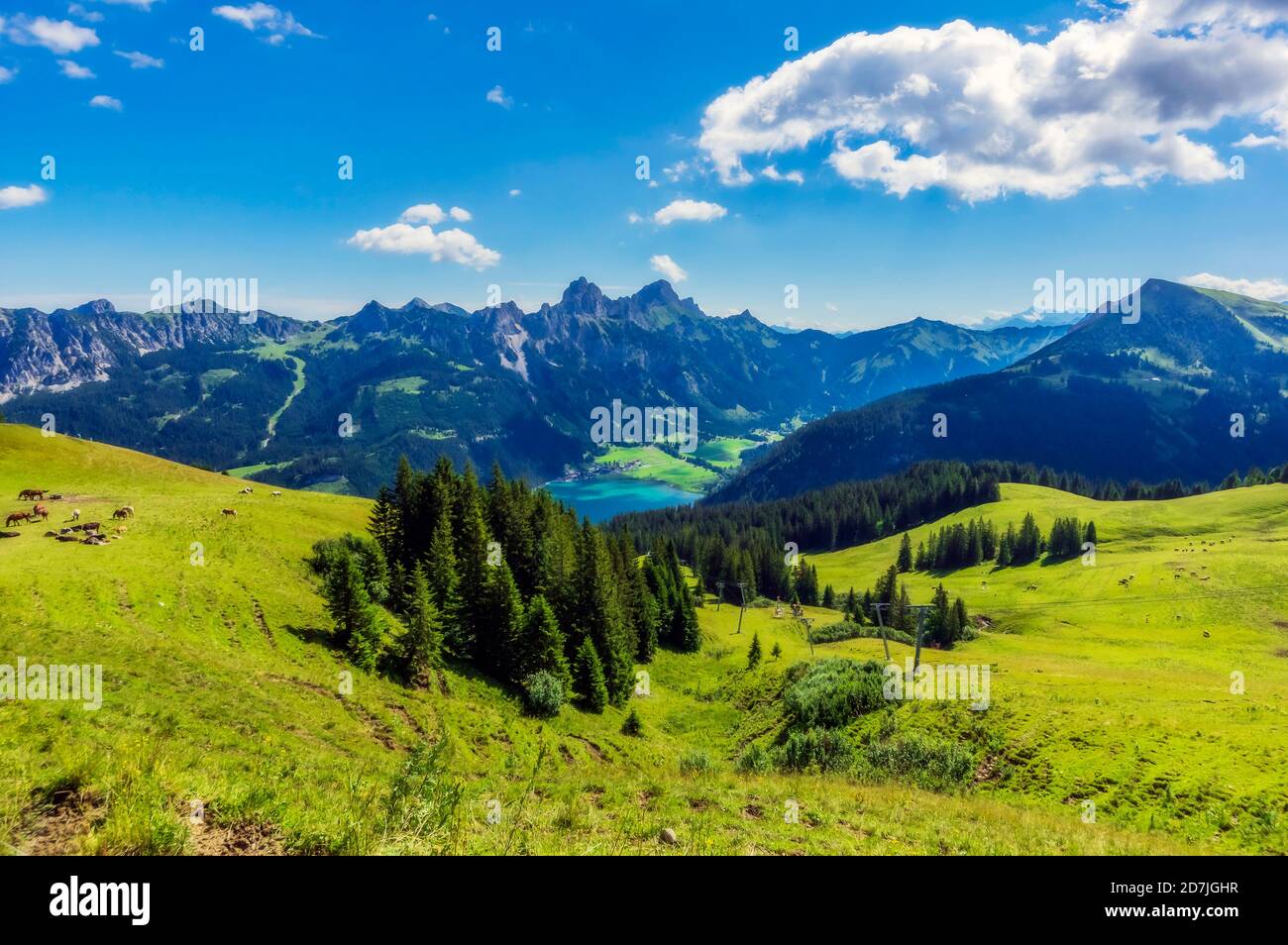 Autriche, Tyrol, paysage vert pittoresque de Tannheimer Tal en été Banque D'Images