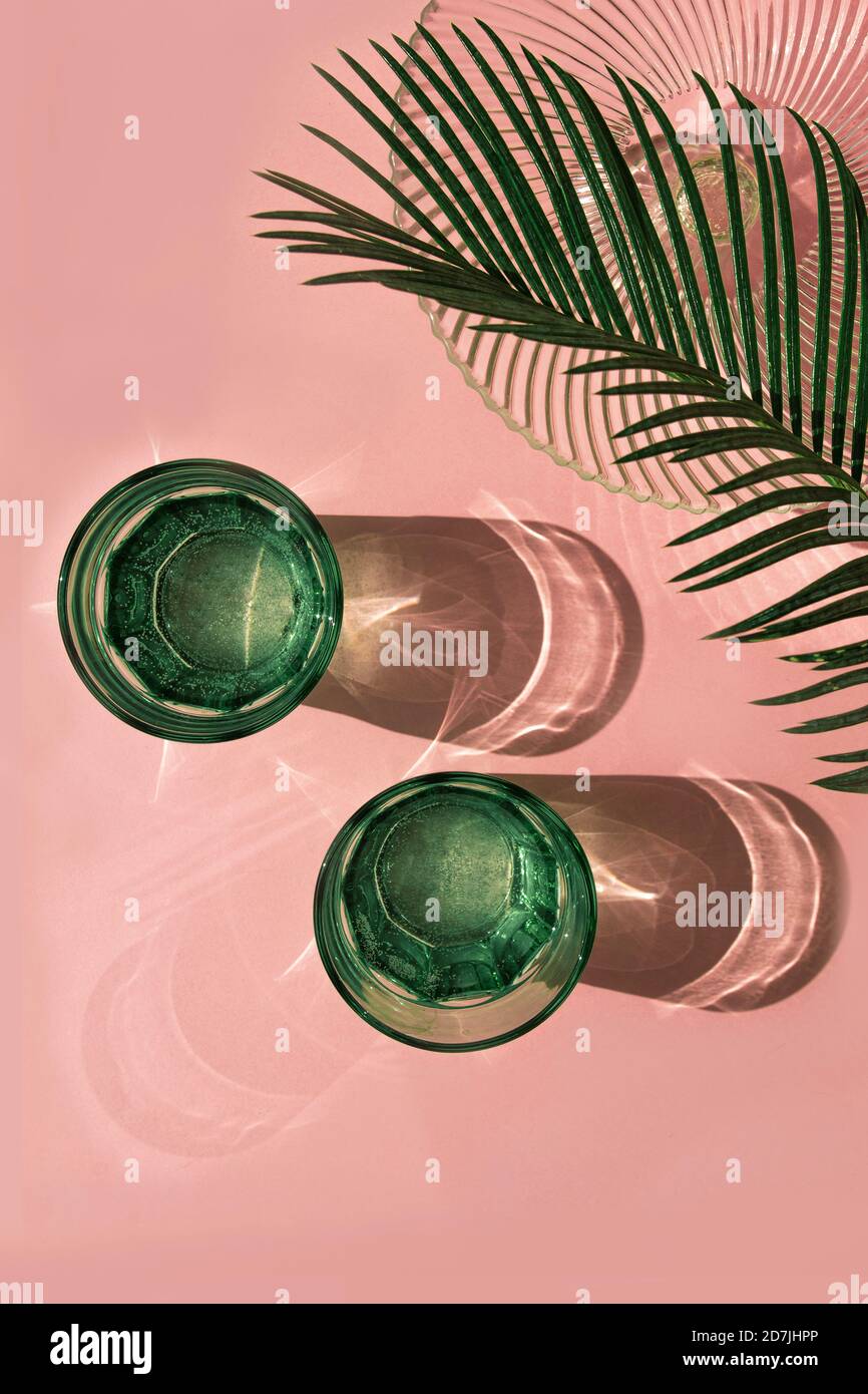 Studio photo de feuilles de palmier, bol en verre et deux verres d'eau gazeuse Banque D'Images