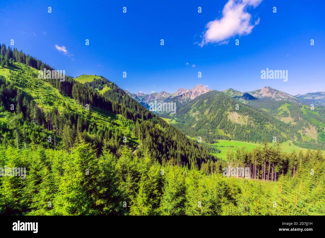 Autriche, Tyrol, paysage vert pittoresque de Tannheimer Tal en été Banque D'Images