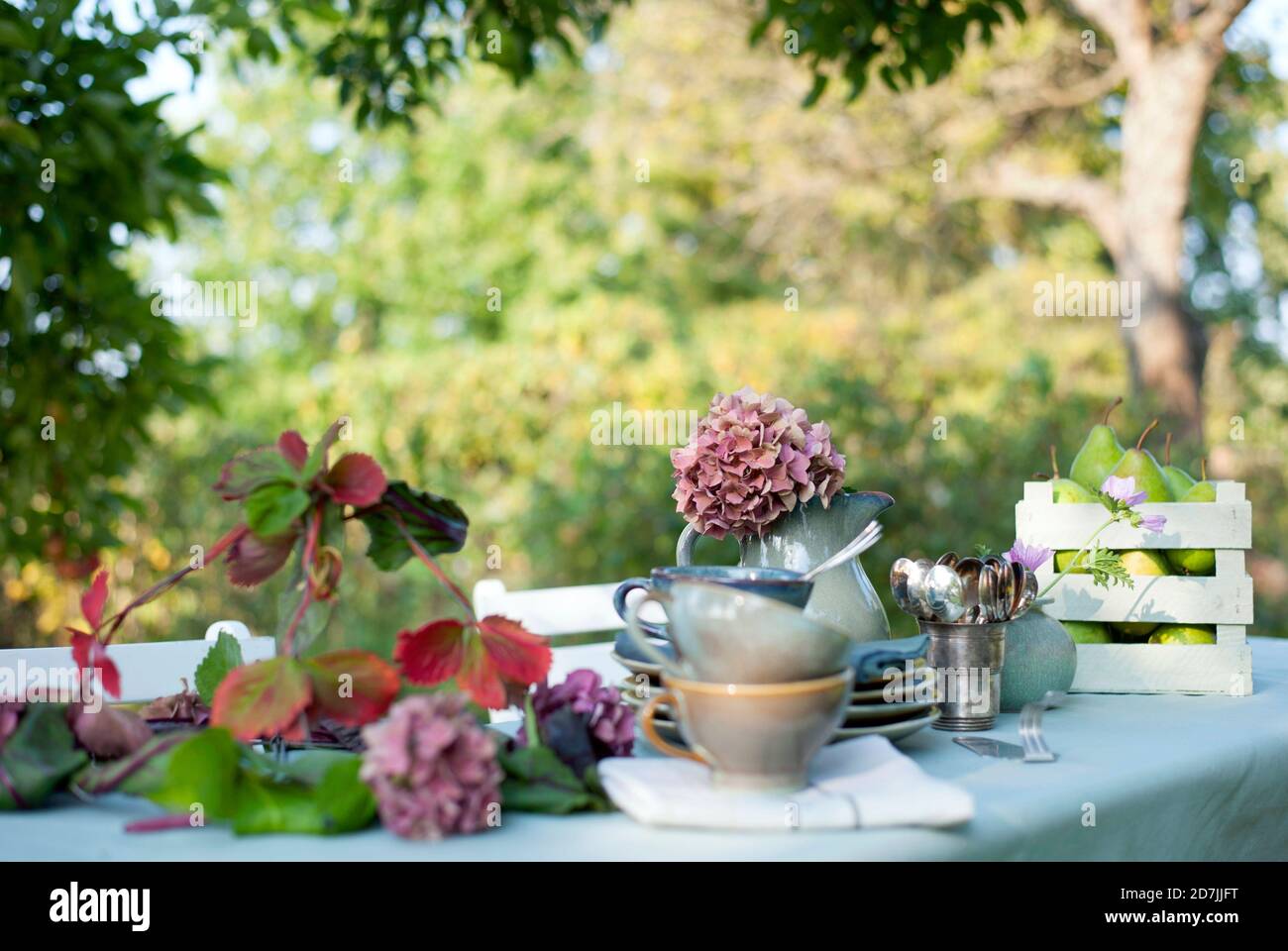 Vaisselle, abat-jour de lampe et carafe avec hortensias en fleur sur table basse dans le jardin Banque D'Images