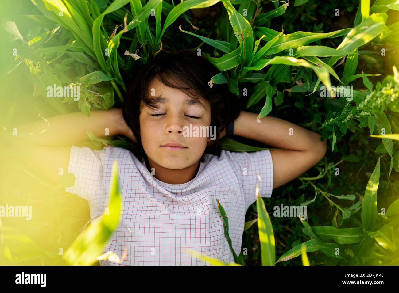 Garçon avec les mains derrière le dos dormant sur l'herbe dans la prairie Banque D'Images
