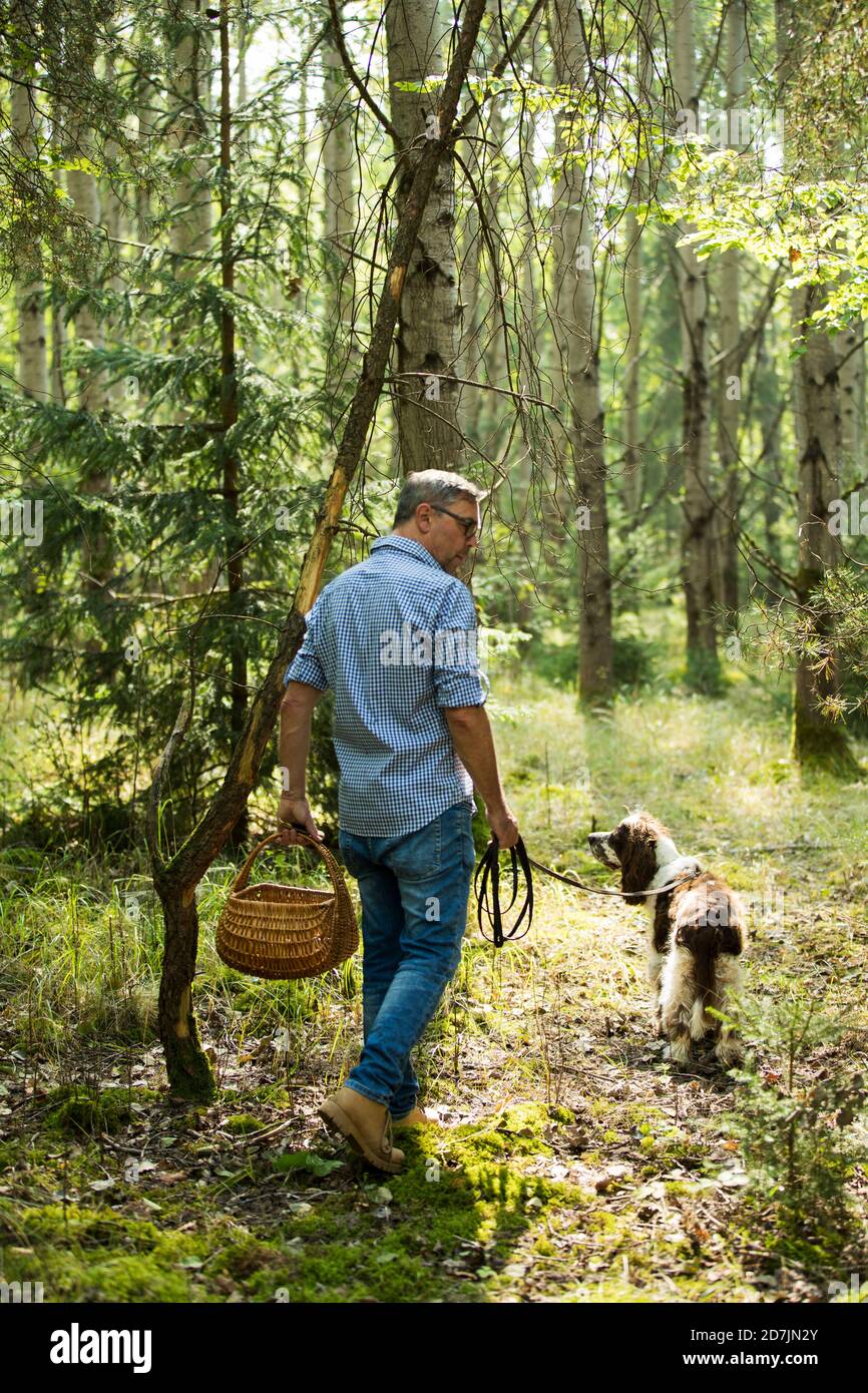 Homme marchant avec son chien dans la forêt Banque D'Images