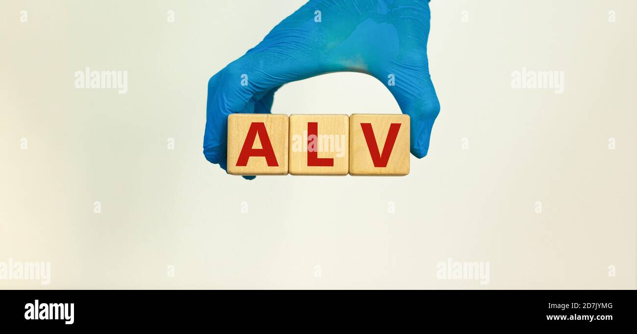 Medical et COVID-19 concept de coronavirus pandémique. Main dans le gant bleu contient des cubes en bois avec l'inscription 'ALV - ventilation artificielle des poumons'. BEA Banque D'Images