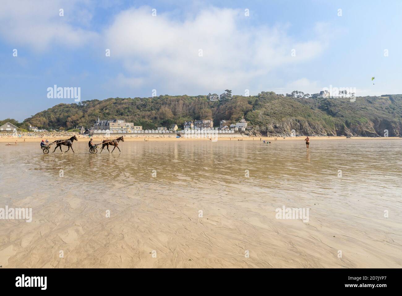 France, Manche, Cotentin, Baie du Mont-Saint-Michel classée au patrimoine mondial de l'UNESCO, Carolles, chevaux attelés d'un suhomme sur la plage // France, Ma Banque D'Images