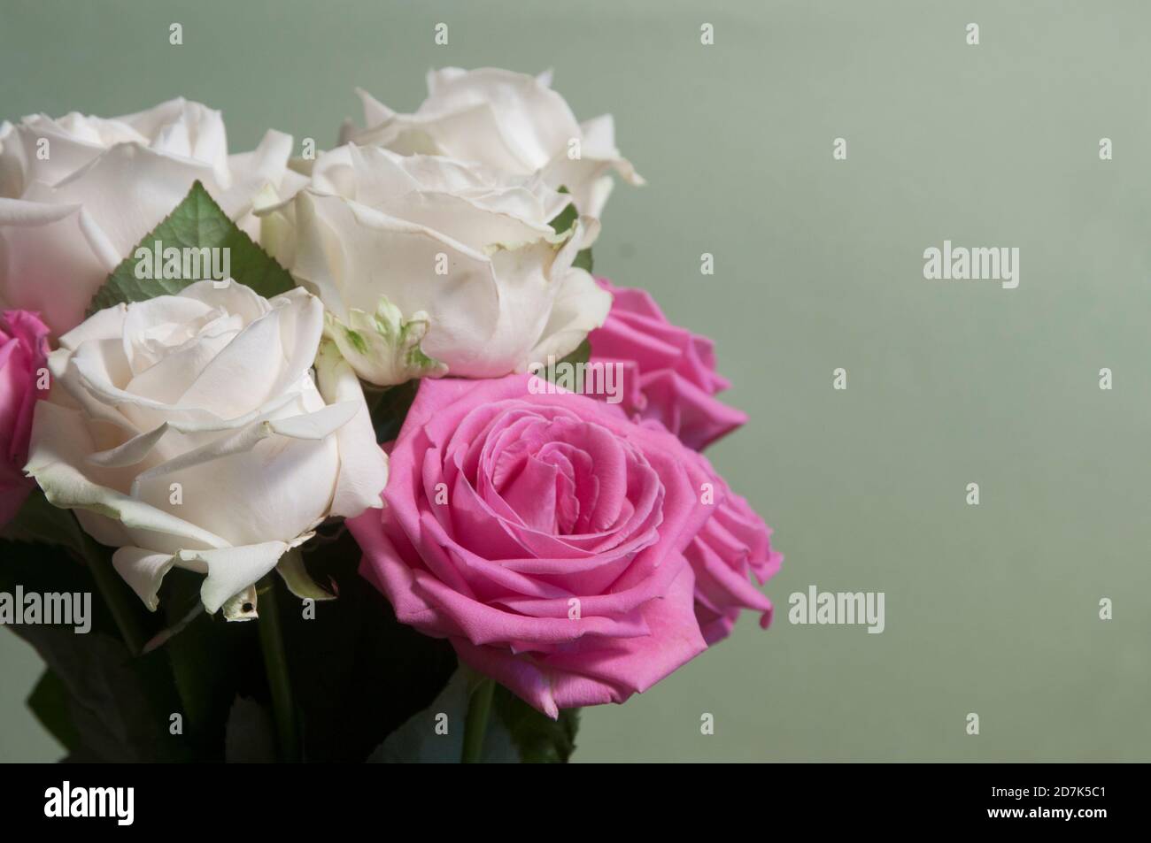 Roses posy sur fond vert, gros plan Banque D'Images