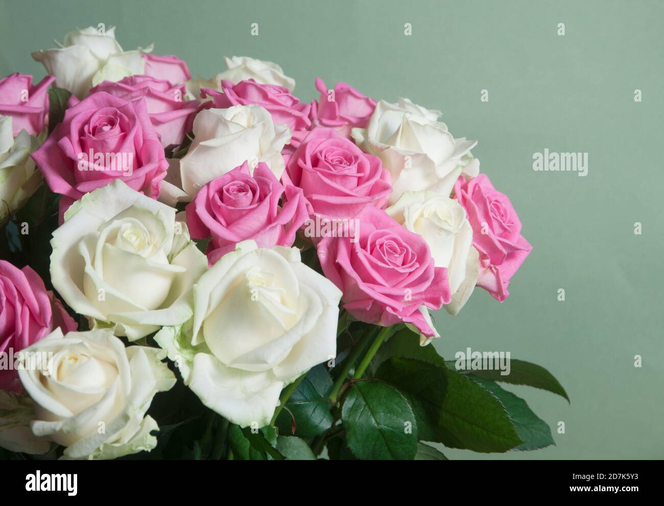 Roses posy sur fond vert, gros plan Banque D'Images
