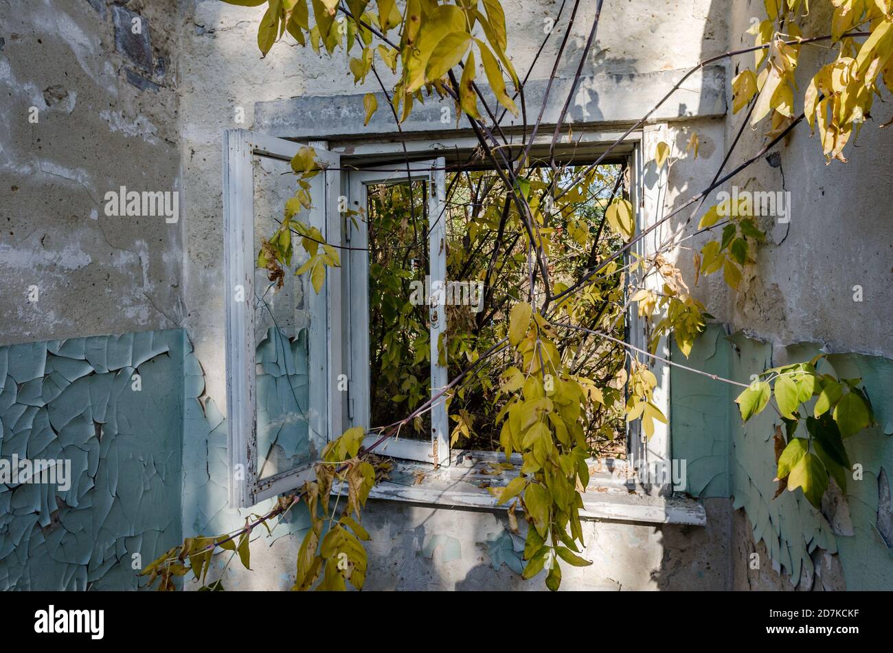 vue depuis la fenêtre d'une maison abandonnée dans Le village de l'Ukraine pendant la guerre Banque D'Images