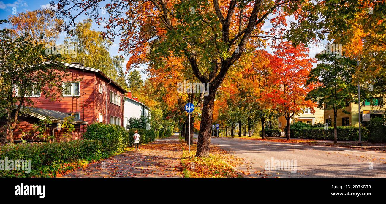 Concept urbain confortable et écologique. Sentier de randonnée et piste cyclable. Une femme marchant dans la rue dans la ville d'automne. Scène urbaine sûre. Feuilles tombées. Banque D'Images